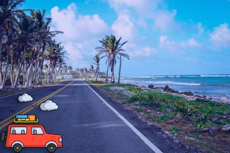 Imagem de uma estrada costeira com o mar azul e palmeiras, representando a aventura de uma road trip pelo Nordeste