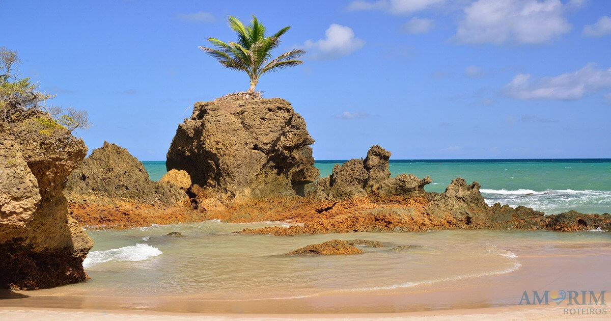 Piscina natural na Praia de Tambaba com águas límpidas em primeiro plano, uma pedra robusta e um coqueiro ao fundo