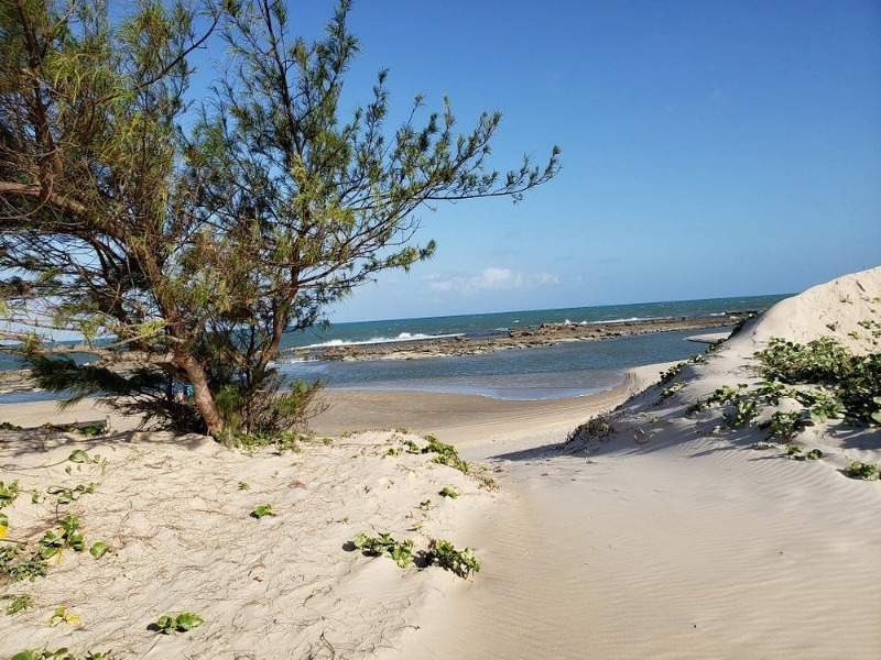 Dunas de areia e vegetação costeira na pitoresca Praia de Camurupim, com o mar ao fundo