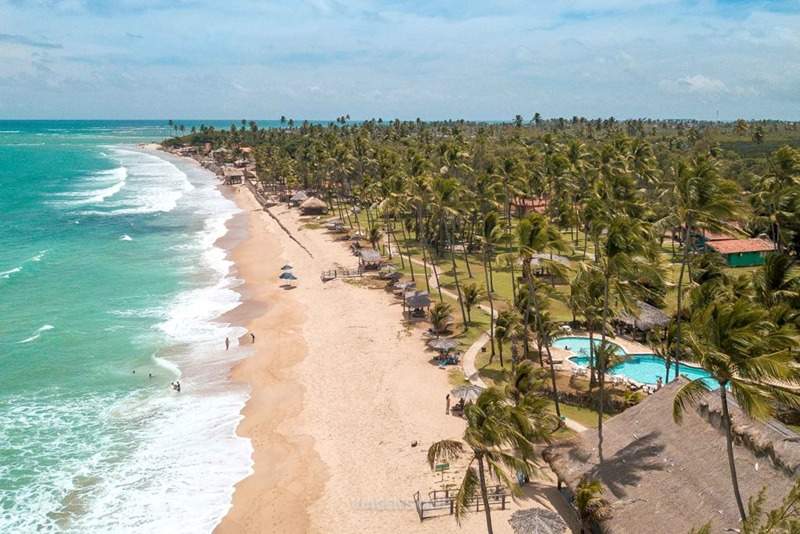 Visão aérea da Praia de Maracaípe, com suas ondas suaves e coqueirais em Porto de Galinhas