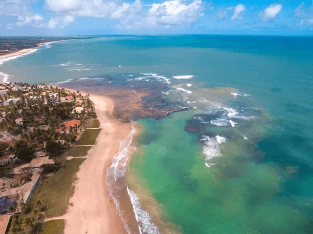 Piscinas naturais e coqueiros na Praia de Itacimirim